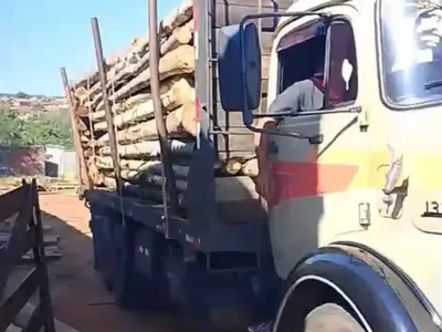 Caminhão carregado com peças roliças de eucalipto