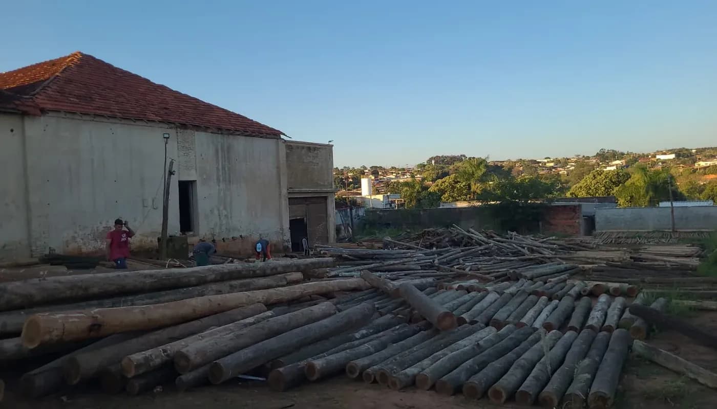 Postes e palanques de eucalipto estocados no pátio em Pirajuí