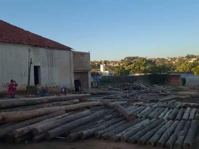 Postes e palanques de eucalipto estocados no pátio em Pirajuí