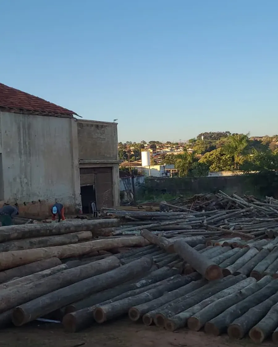 Postes e palanques de eucalipto estocados no pátio em Pirajuí