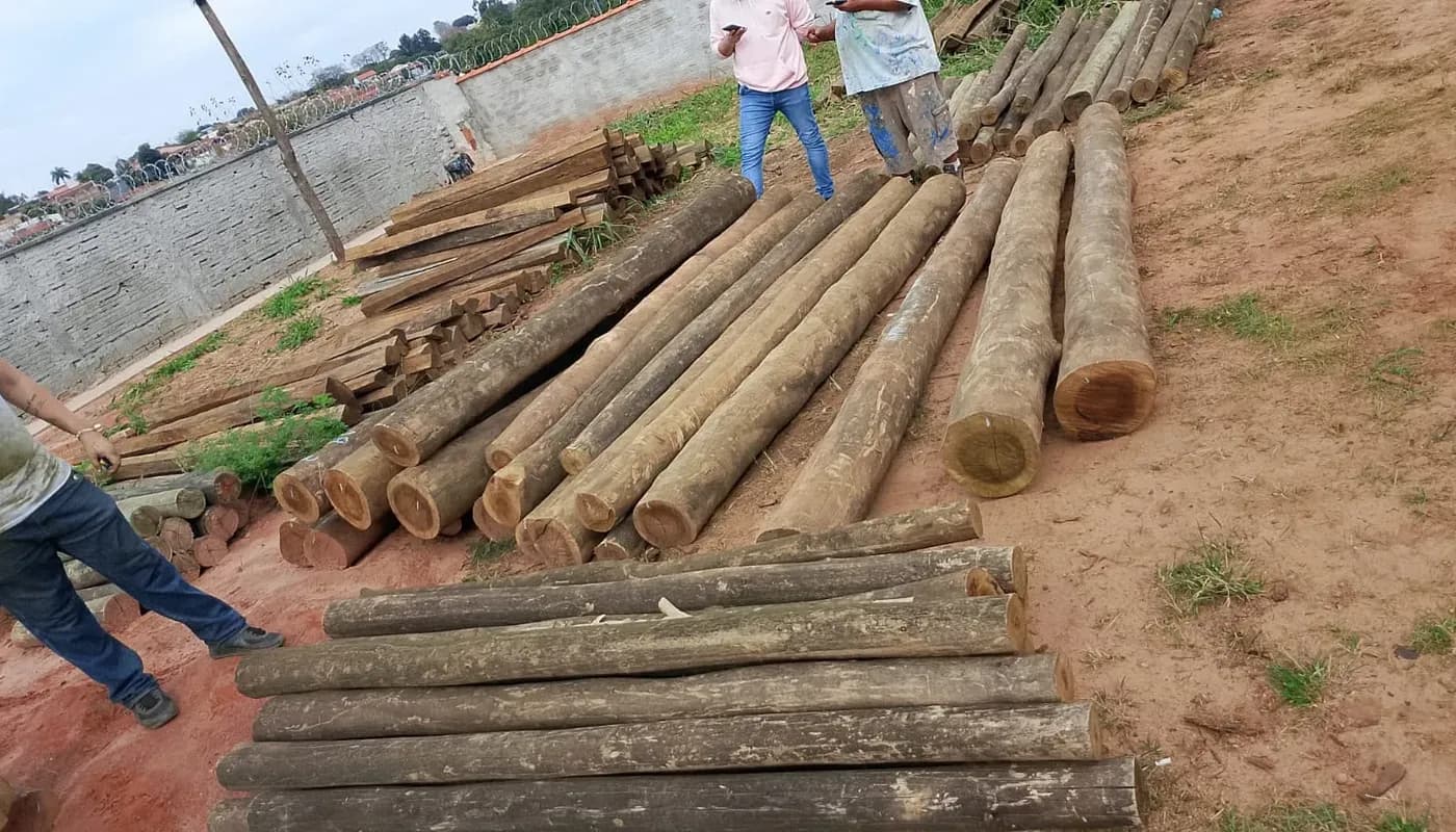 Postes e esticadores de eucalipto tratado descarregados no terreno do cliente