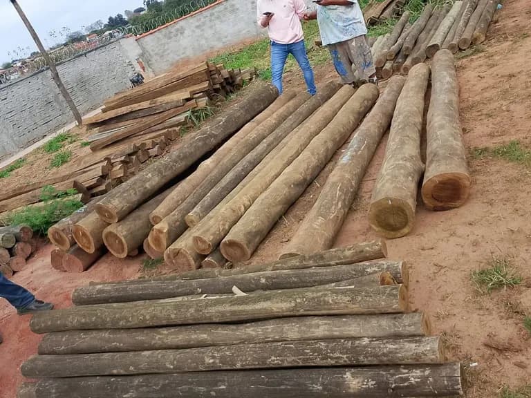 Postes e esticadores de eucalipto tratado descarregados no terreno do cliente