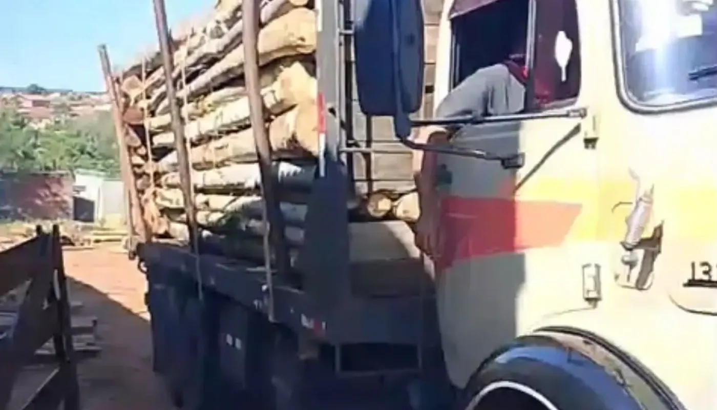 Caminhão carregado com peças roliças de eucalipto